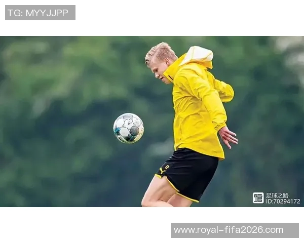 探索足球的魅力与技巧提升之路让我们一起领略球场上的激情与团队精神